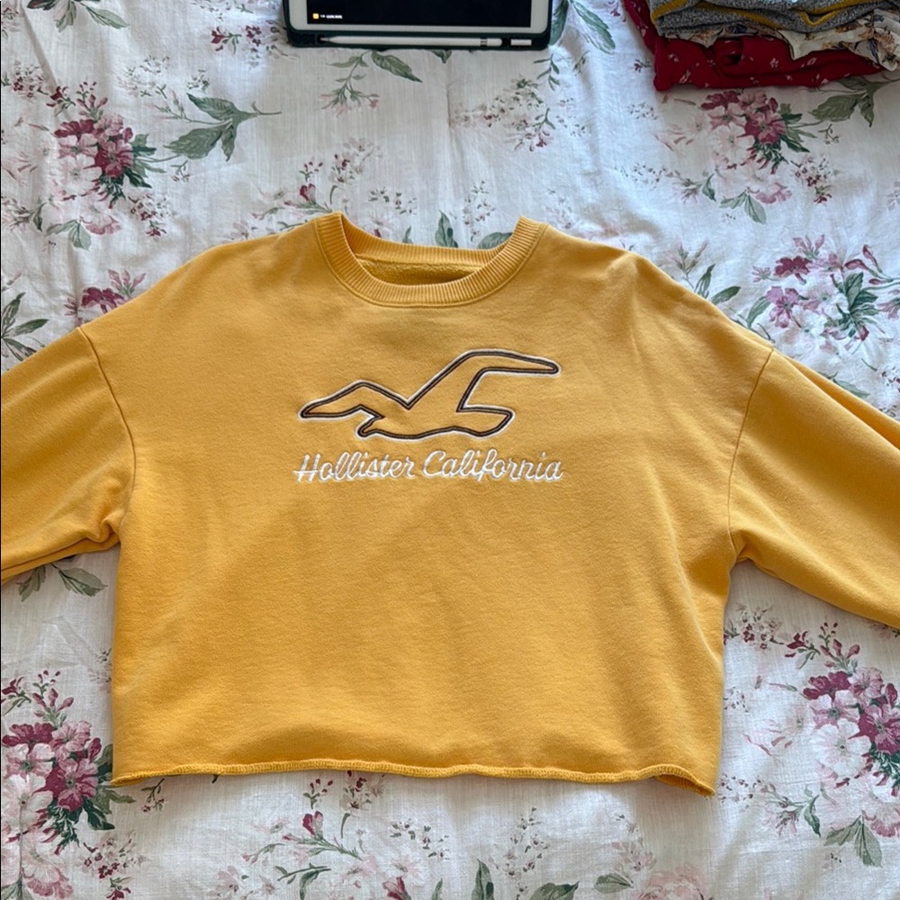 Hollister Mustard Cropped Pullover